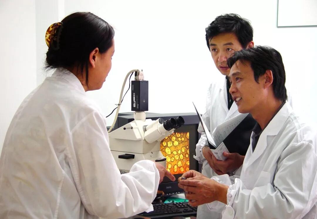 钱柜qg777(中国游)唯一官方网站