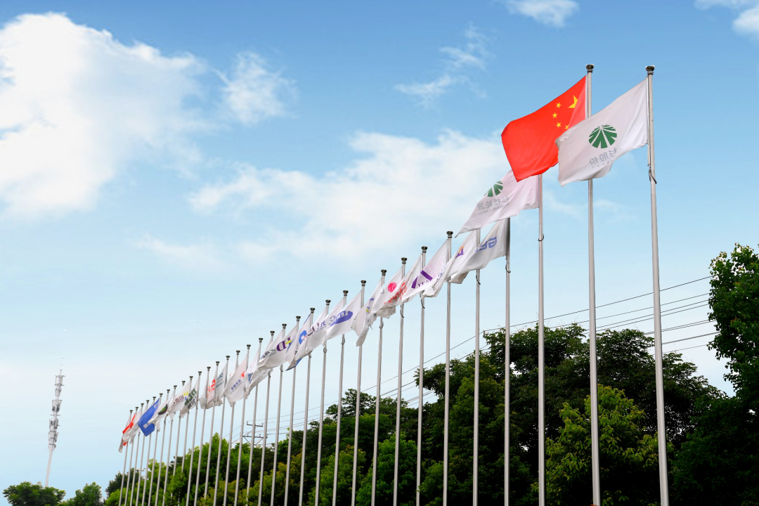 钱柜qg777(中国游)唯一官方网站